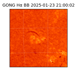 gong - 2025-01-23T21:00:02