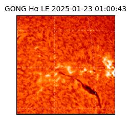 gong - 2025-01-23T01:00:43