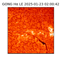 gong - 2025-01-23T02:00:42