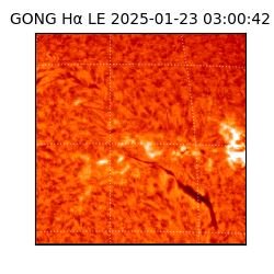 gong - 2025-01-23T03:00:42