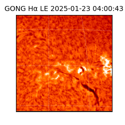 gong - 2025-01-23T04:00:43