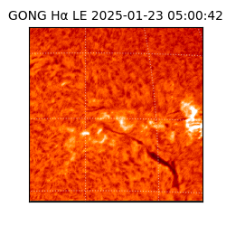 gong - 2025-01-23T05:00:42