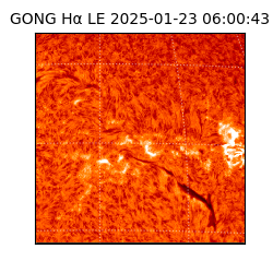 gong - 2025-01-23T06:00:43