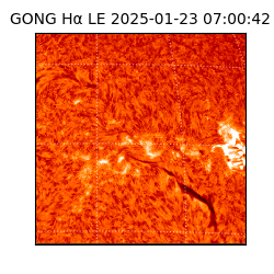 gong - 2025-01-23T07:00:42