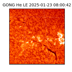 gong - 2025-01-23T08:00:42