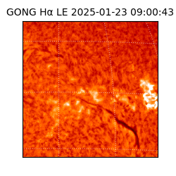 gong - 2025-01-23T09:00:43