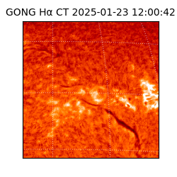 gong - 2025-01-23T12:00:42