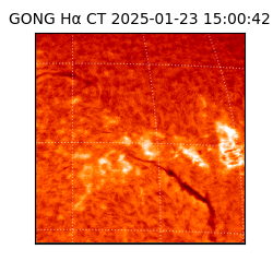 gong - 2025-01-23T15:00:42
