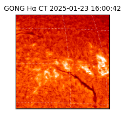 gong - 2025-01-23T16:00:42