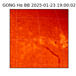 gong - 2025-01-23T19:00:02