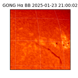 gong - 2025-01-23T21:00:02