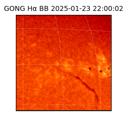 gong - 2025-01-23T22:00:02