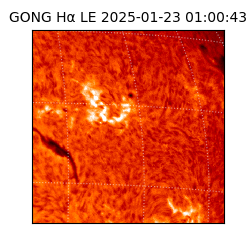 gong - 2025-01-23T01:00:43