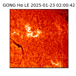 gong - 2025-01-23T02:00:42