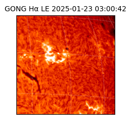 gong - 2025-01-23T03:00:42