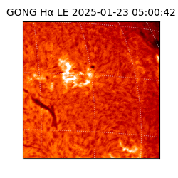 gong - 2025-01-23T05:00:42