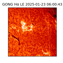 gong - 2025-01-23T06:00:43