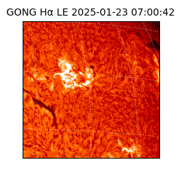 gong - 2025-01-23T07:00:42