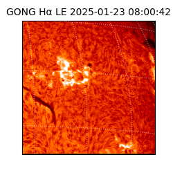 gong - 2025-01-23T08:00:42