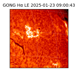 gong - 2025-01-23T09:00:43