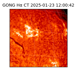 gong - 2025-01-23T12:00:42