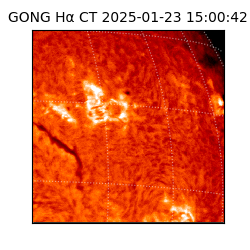 gong - 2025-01-23T15:00:42