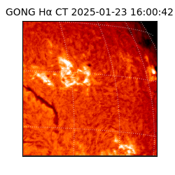 gong - 2025-01-23T16:00:42