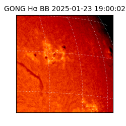 gong - 2025-01-23T19:00:02