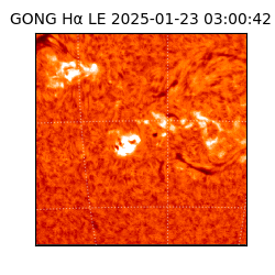 gong - 2025-01-23T03:00:42