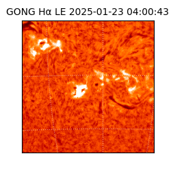 gong - 2025-01-23T04:00:43