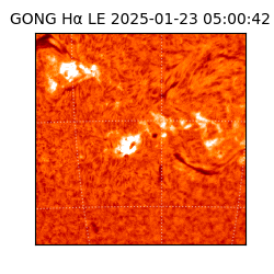 gong - 2025-01-23T05:00:42