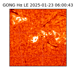 gong - 2025-01-23T06:00:43