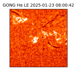 gong - 2025-01-23T08:00:42