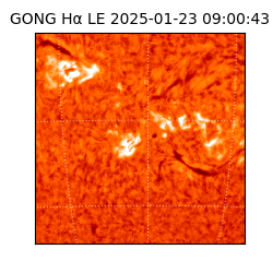 gong - 2025-01-23T09:00:43