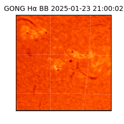 gong - 2025-01-23T21:00:02