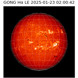 gong - 2025-01-23T02:00:42