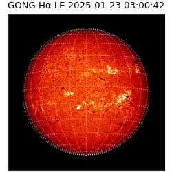 gong - 2025-01-23T03:00:42