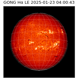 gong - 2025-01-23T04:00:43