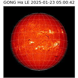 gong - 2025-01-23T05:00:42