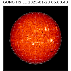 gong - 2025-01-23T06:00:43