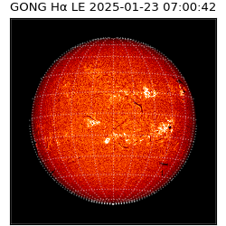 gong - 2025-01-23T07:00:42
