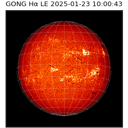 gong - 2025-01-23T10:00:43
