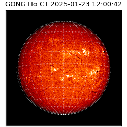 gong - 2025-01-23T12:00:42