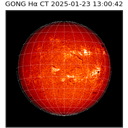 gong - 2025-01-23T13:00:42