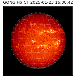 gong - 2025-01-23T16:00:42