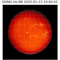 gong - 2025-01-23T19:00:02