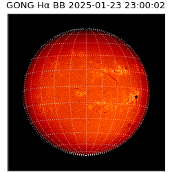 gong - 2025-01-23T23:00:02