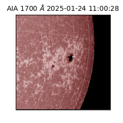 saia - 2025-01-24T11:00:28.721000
