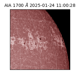 saia - 2025-01-24T11:00:28.721000