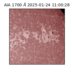saia - 2025-01-24T11:00:28.721000